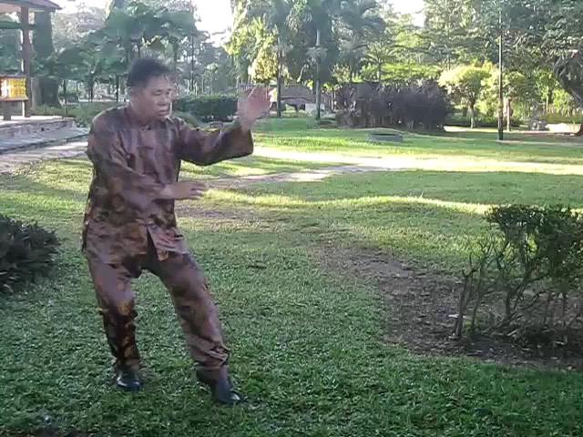 Sun Style Taijiquan